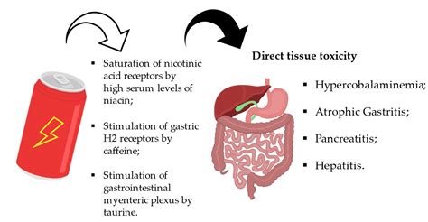 Negative Effects Of Energy Drinks On Athletes – VHGMX
