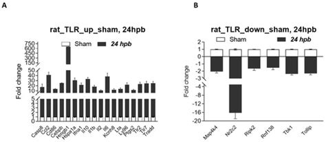 JPM | June 2022 - Browse Articles