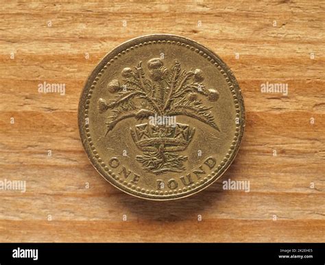 1 Pound coin, reverse side showing Thistle and diadem representing ...