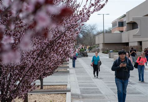 NMSU informs students and parents about possible lottery scholarship ...