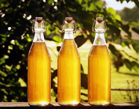 What is mead honey wine – Artofit