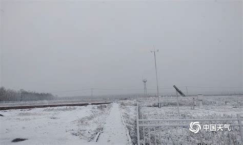 横县：强冷空气开启“看雪”模式-广西高清图片-中国天气网