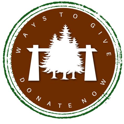 Home - Idyllwild Pines