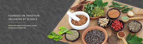 Ozone Signature India