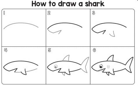 shark directed drawing
