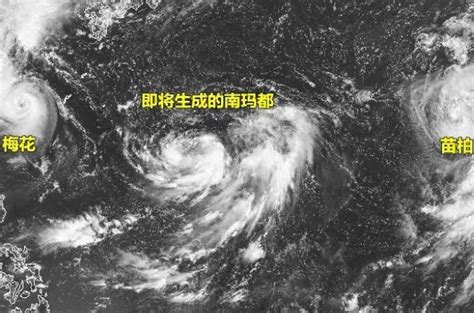 台风命名表一览 2019年有几个台风登陆_旅泊网