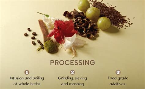 Sacred Grove | Reetha & Flaxseed Gentle Hair Cleanser | Non Lather ...