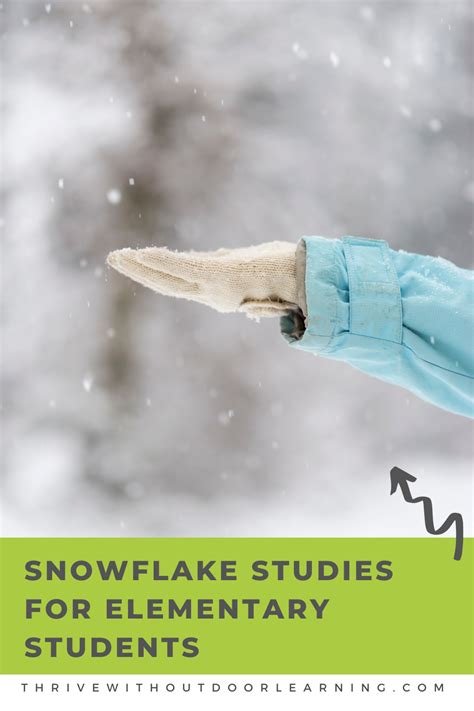 Image result for Snowflake Simple Learning