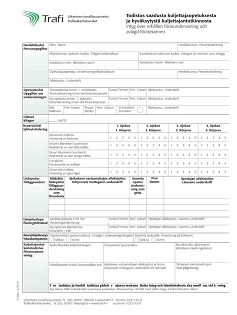 E100 Lomake - Fill Online, Printable, Fillable, Blank | pdfFiller