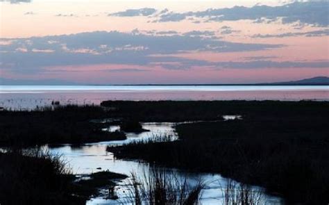 BOHU MARSH (2026) All You Need to Know BEFORE You Go (with Photos ...