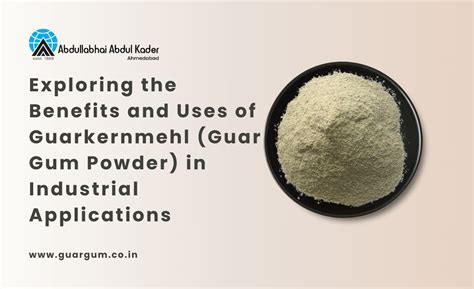 Exploring the Benefits and Uses of Guarkernmehl (Guar Gum Powder) in ...
