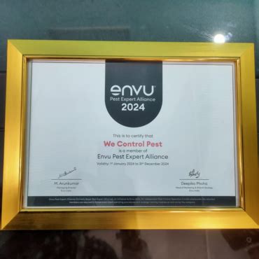Best | Residential | Commercial | Pest control in Lucknow | Gallery
