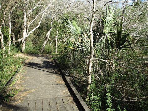 THE 30 BEST Places to Visit in Brownsville (2026)
