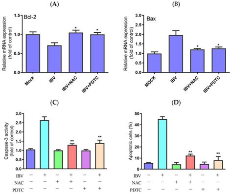Avian Coronavirus Infectious Bronchitis Virus Activates Mitochondria ...