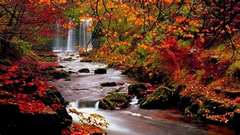 Fall Nature Desktop Backgrounds 的图像结果