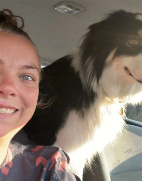 Amanda | Barclay Hills Animal Clinic