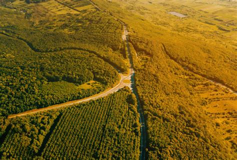 Examples of the Technology Ladscape 的图像结果