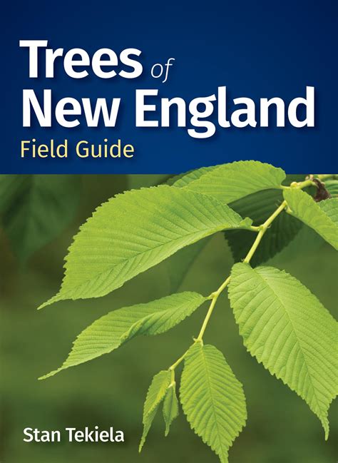 Trees Of New England Field Guide Tree Identification Guides ...