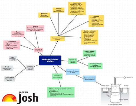 CBSE Microbes in Human Welfare Class 12 Mind Map for Chapter 8 of ...