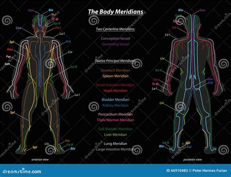 Meridian System Description Chart Black Stock Vector - Illustration of ...