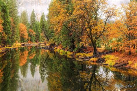 Washington 的图像结果