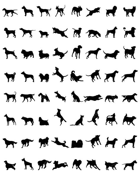 Silhouettes Of Dogs Set Labrador Boxer Vector, Set, Labrador, Boxer PNG and Vector with ...