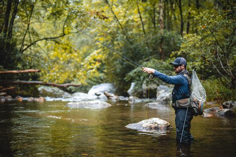 Guided Fly Fishing in Pisgah Forest, NC | Davidson River Outfitters
