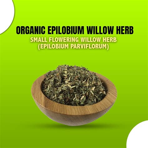 Organic Epilobium Willow Herb | Small Flowering Willow Herb (Epilobium ...