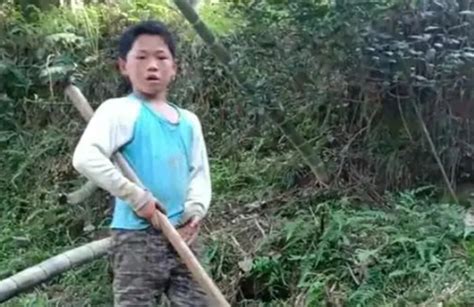 父母均患病，11岁男孩两天挖笋860斤-中国好故事