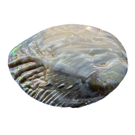 SPECIAL ITEMS – CrystalCaveIndia