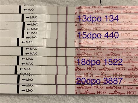 Hcg Levels Pregnancy Test At Home at April Langdon blog