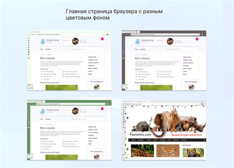 Windows Application Software 的图像结果