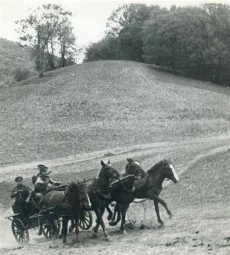 Фото "Тачанки в Карпатах", 1 июня 1943 - 30 сентября 1944, Украинская ...