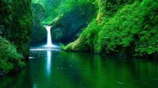 Desktop Wallpaper Hd by 1920 215 1080 Hd Wallpapers Pixelstalk Net Desktop Wallpaper Hd