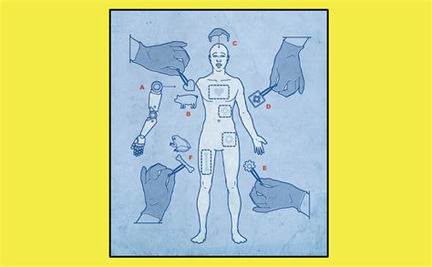 Replaceable You: Adventures in Human Anatomy eBook : Roach, Mary ...