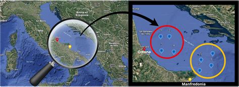 DNA Barcoding and Analysis of Nutritional Properties as a Tool for ...