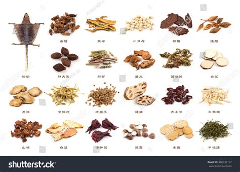 Chinese Herbal Medicine 的图像结果