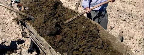 农家肥 的图像结果