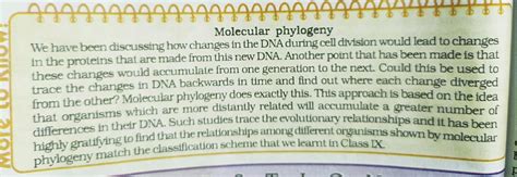 why molecular phylogeny is extensively used to define evolutionary ...