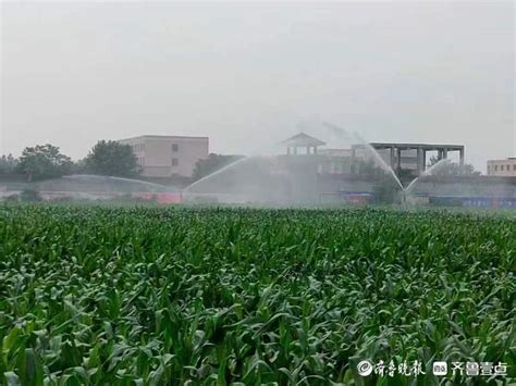 抽水灌溉保丰收 电力服务惠三农_湖北频道_凤凰网