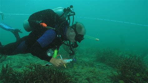 He devoted his life to understanding Florida’s coral reefs