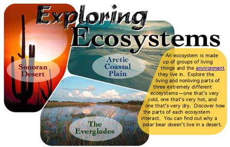 Environment 的图像结果