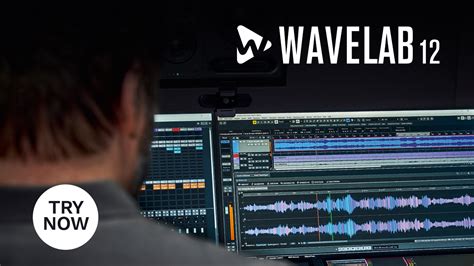 Image result for WaveLab 10 Meters