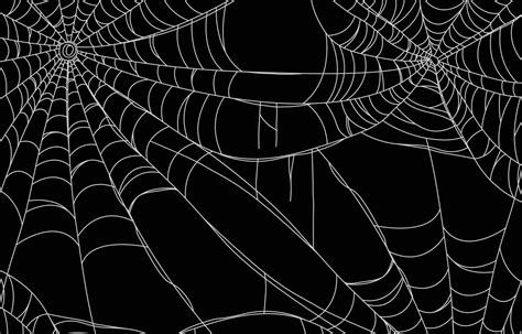 Spider Web Background 3107462 Vector Art at Vecteezy