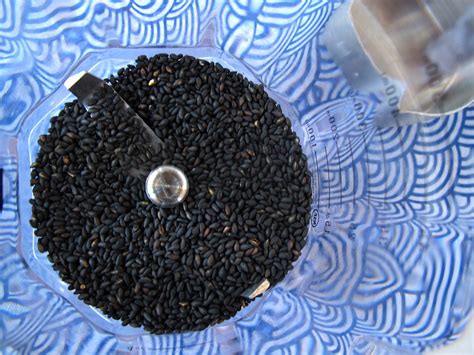 How To Grind Chia Seeds - Recipes.net