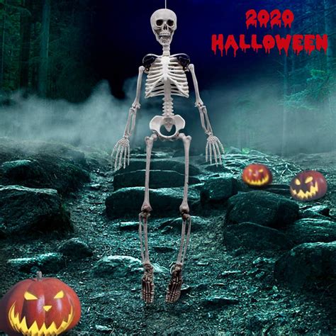 Buy Evoio Halloween Skeleton - 38”Tall Full Body Halloween Skeleton ...