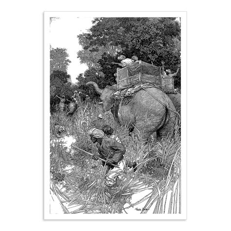 Tiger Hunt – Calcuttan