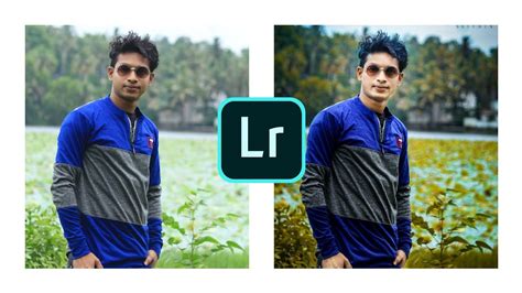 LR Tutorial Editing 的图像结果