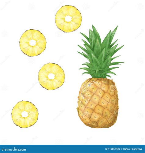 Pineapple Clip Art Digital Tripical Fruit Stock Illustration ...