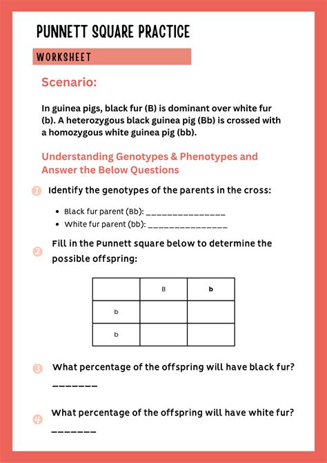 40+ Punnett Square Practice Worksheet To Download In PDF